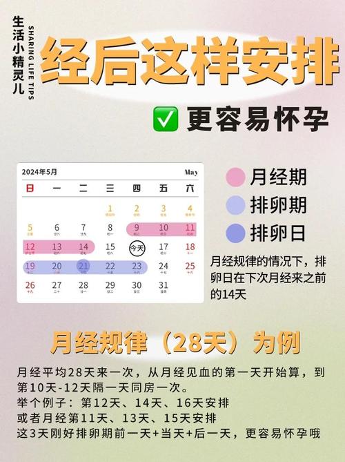 排卵日和易孕期是一回事吗?-第1张图片-中州医学会 排卵日和易孕期是一回事吗?-第1张图片-中州医学会