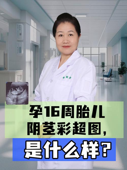 孕期彩超会影响胎儿吗？-第1张图片-中州医学会