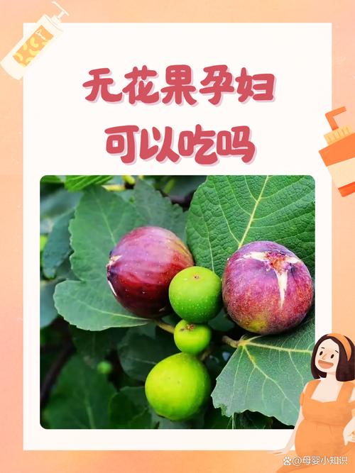 孕期血糖高能吃无花果吗？-第1张图片-中州医学会