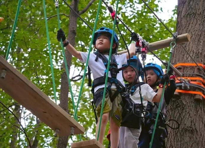 佘山营地少儿活动有何特色与意义？-第3张图片-中州医学会