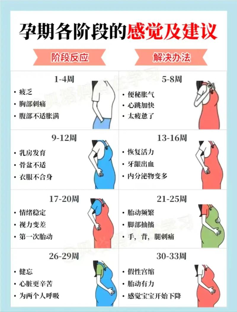 孕期反应最早何时开始？-第1张图片-中州医学会