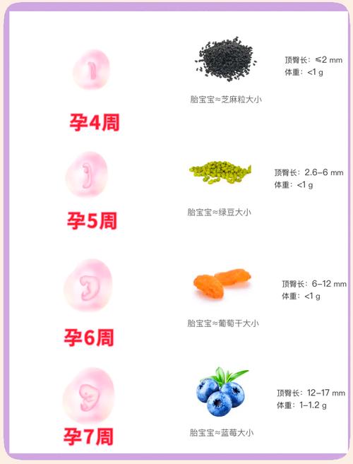 孕期三个月宝宝发育标准有哪些关键指标？-第3张图片-中州医学会