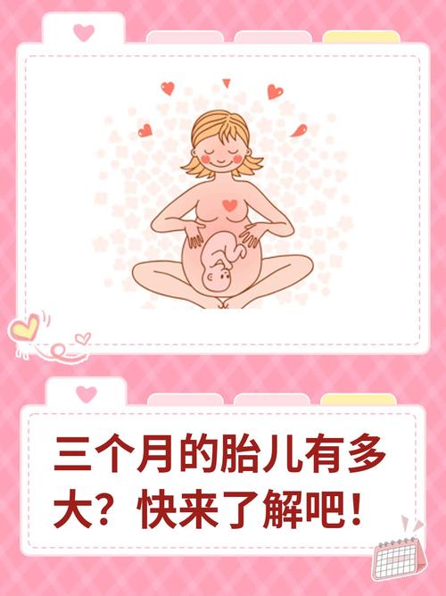 孕期三个月宝宝发育标准有哪些关键指标？-第1张图片-中州医学会