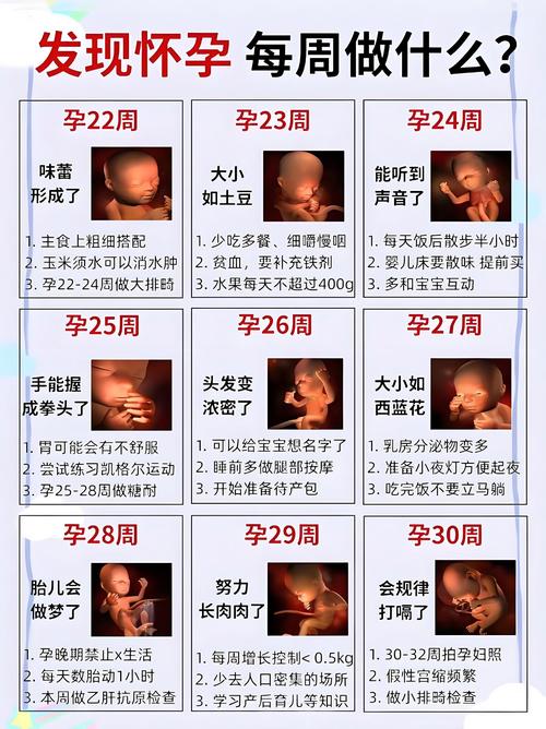 孕期四维彩超最佳时间何时做？-第1张图片-中州医学会