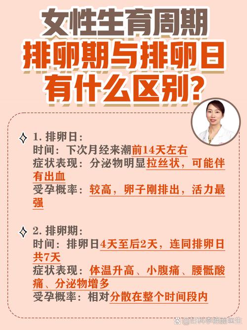易孕期和排卵日，到底有何不同？-第1张图片-中州医学会
