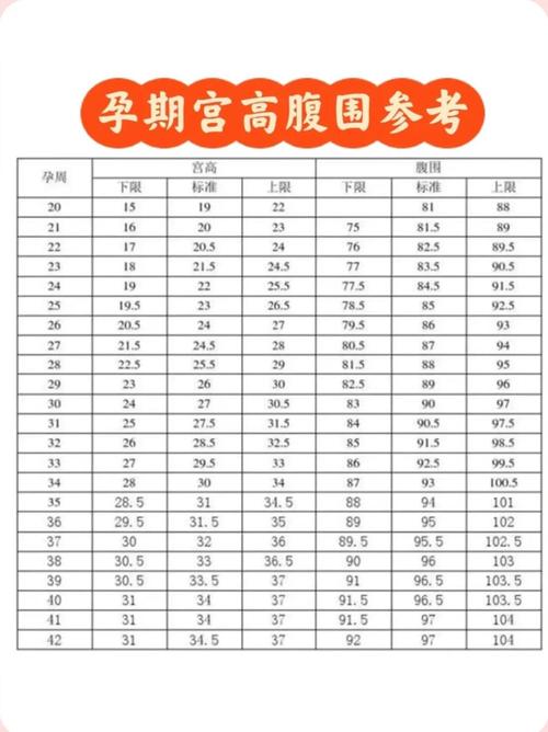 孕期宫高腹围标准对照表怎么用？-第1张图片-中州医学会