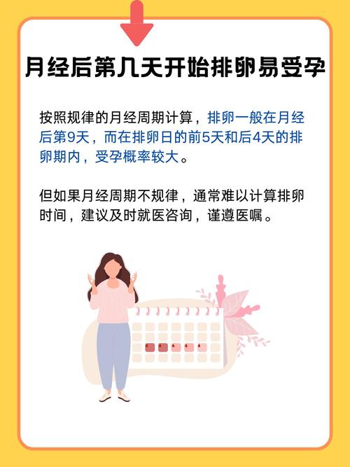易孕期和排卵期是一回事吗？-第1张图片-中州医学会