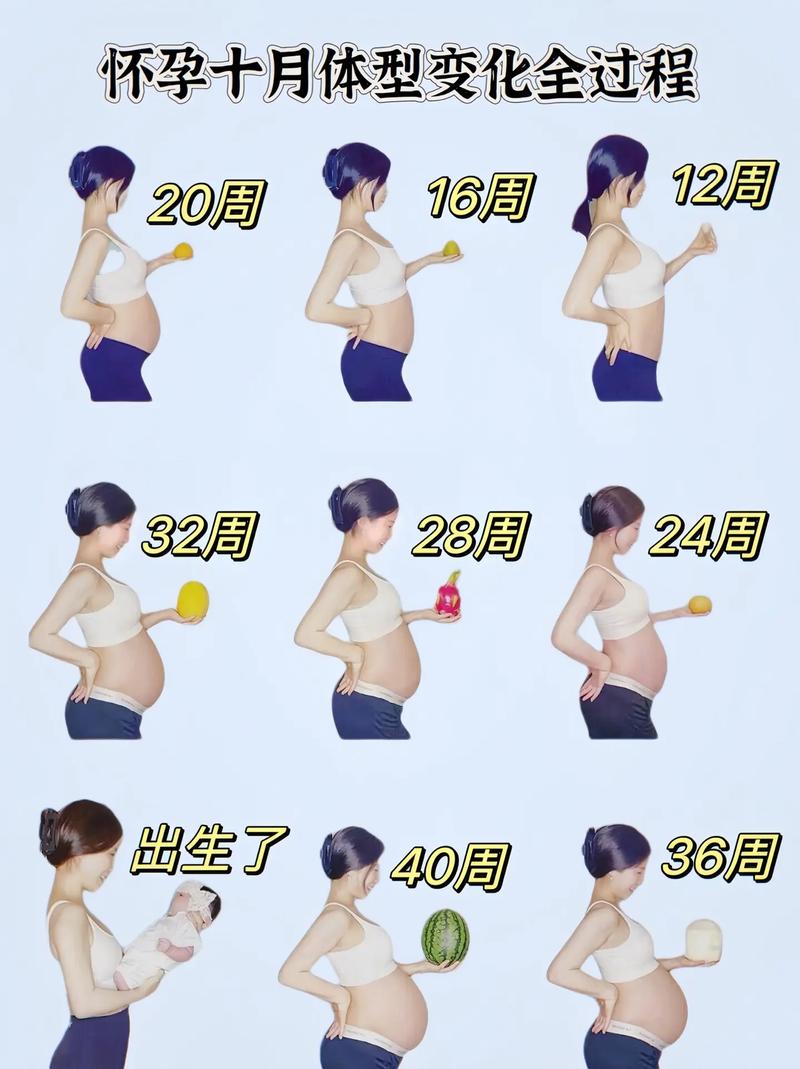 孕期胖30斤算正常吗？-第3张图片-中州医学会