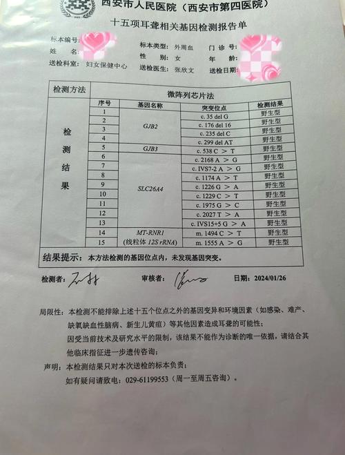 孕期DNA检查是什么？-第1张图片-中州医学会