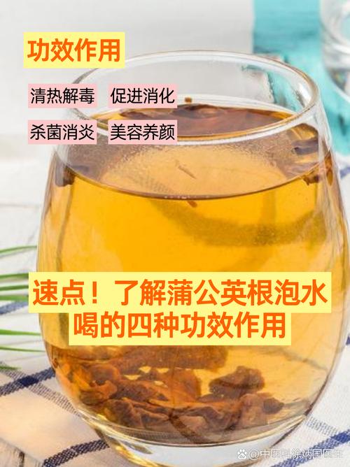 备孕期能喝蒲公英水吗?-第2张图片-中州医学会 备孕期能喝蒲公英水吗?-第2张图片-中州医学会
