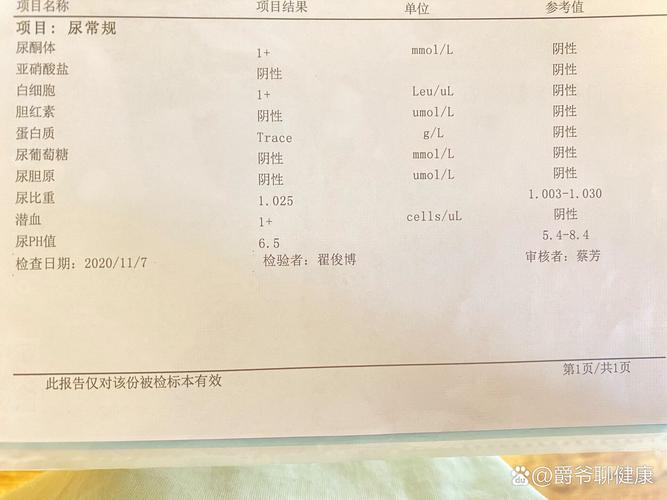 孕期尿检白细胞3+，是感染了吗？-第3张图片-中州医学会