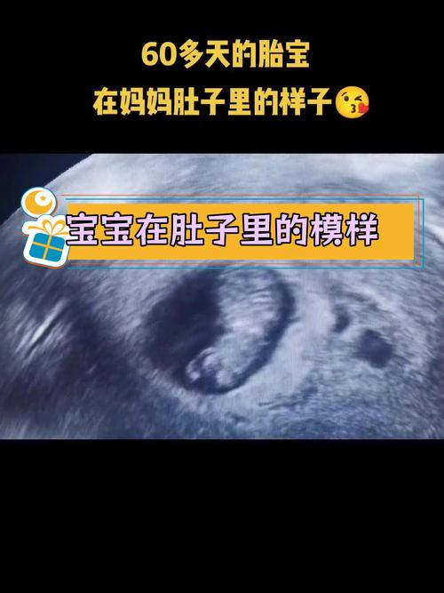 孕期60天宝宝有多大?-第1张图片-中州医学会 孕期60天宝宝有多大?-第1张图片-中州医学会