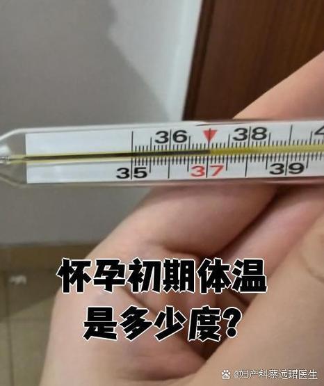 怀孕期间体温会一直高吗-第2张图片-中州医学会