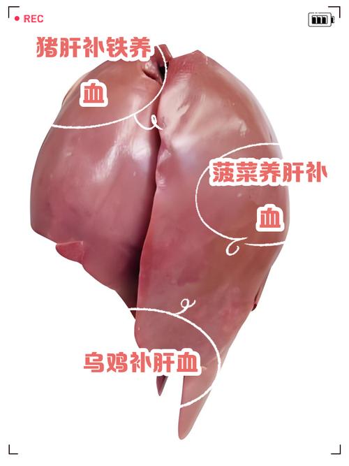 儿童肝血不足，吃什么补最快？-第3张图片-中州医学会