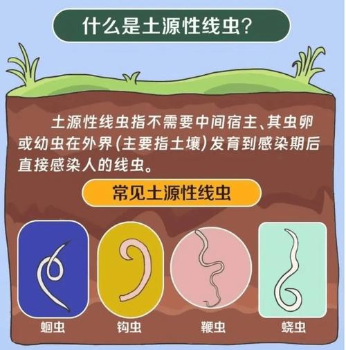 儿童蛔虫和蛲虫有什么区别-第2张图片-中州医学会