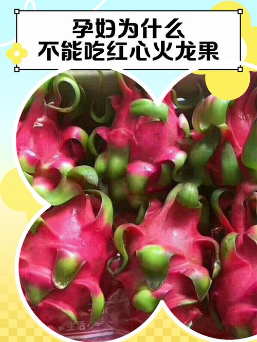 怀孕期间能不能吃火龙果-第2张图片-中州医学会