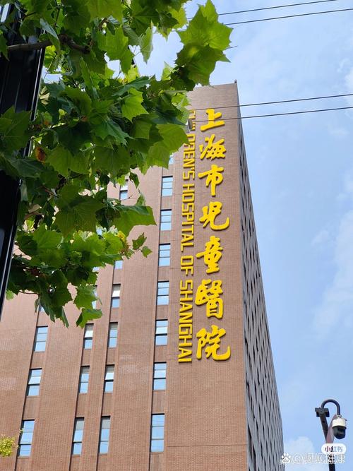 上海儿童泌尿科医院怎么选？-第1张图片-中州医学会