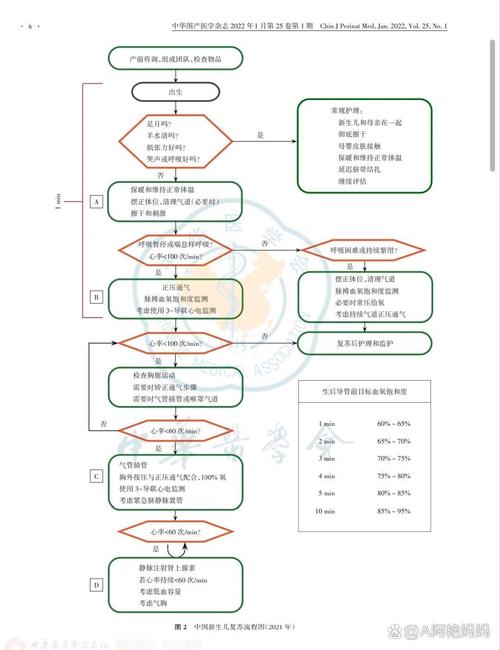 新生儿窒息的护理诊断及措施-第3张图片-中州医学会