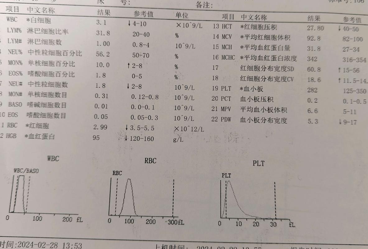 怀孕地中海贫血，宝宝健康怎么办？-第2张图片-中州医学会