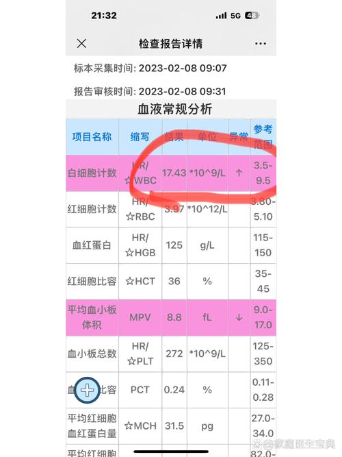 孕期白细胞高怎么办？-第2张图片-中州医学会
