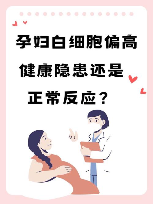 孕期白细胞高怎么办？-第3张图片-中州医学会