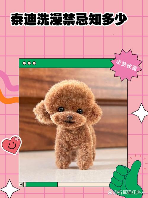 泰迪怀孕期能洗澡吗？-第2张图片-中州医学会