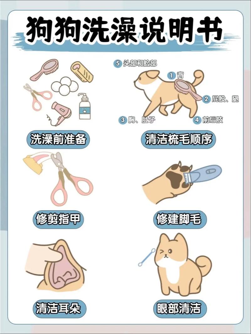 泰迪怀孕期能洗澡吗？-第1张图片-中州医学会