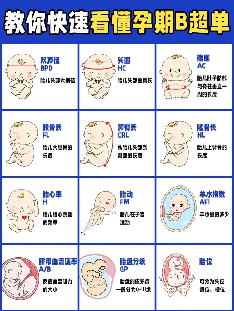 怀孕期间彩超该做几次才合适？-第3张图片-中州医学会