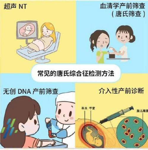 中孕期母血清学产前筛查-第1张图片-中州医学会