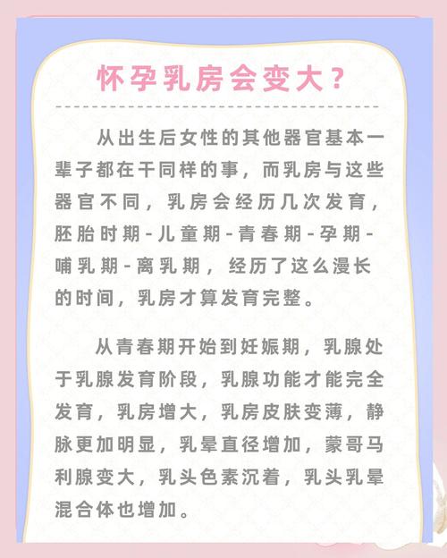 孕期胸部不长怎么办？-第3张图片-中州医学会