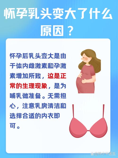 怀孕期间胸变大怎么回事-第3张图片-中州医学会