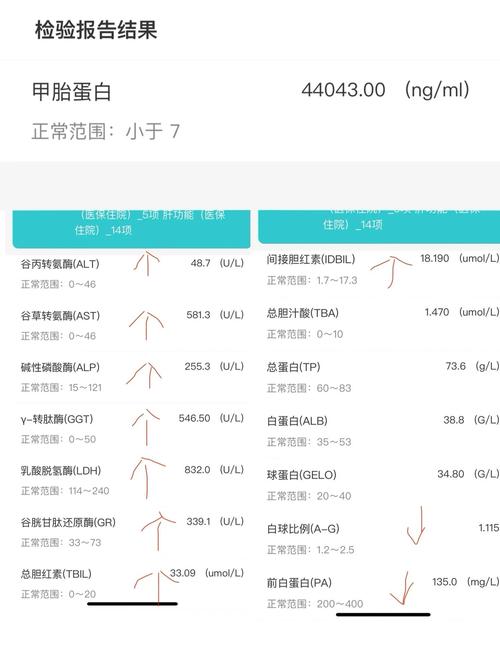 孕期甲胎蛋白1000多要紧吗?-第3张图片-郑州医学网 孕期甲胎蛋白1000多要紧吗?-第3张图片-郑州医学网
