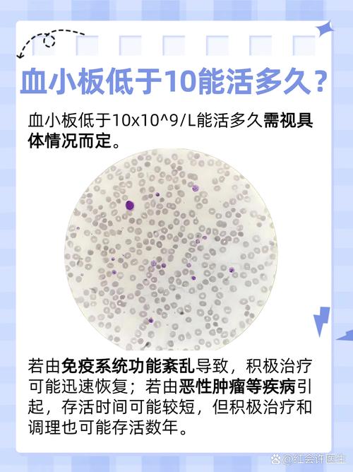 儿童血小板500多严重吗?-第2张图片-郑州医学网 儿童血小板500多严重吗?-第2张图片-郑州医学网