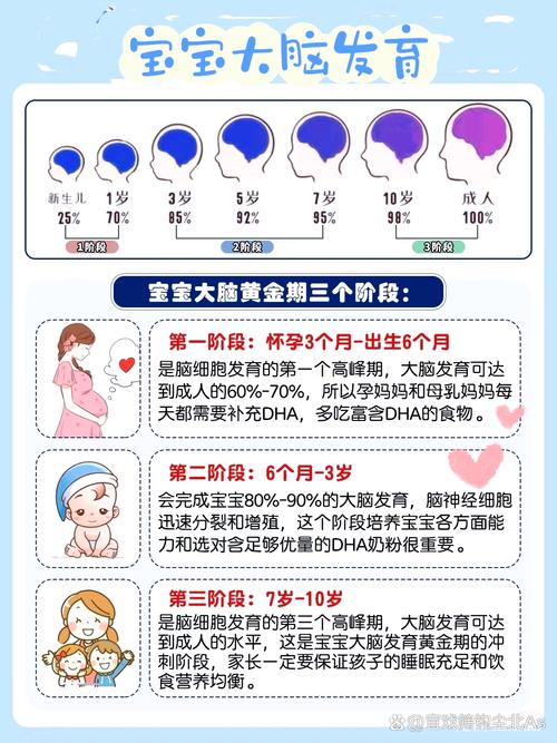 孕期宝宝脑发育高峰期，关键营养怎么补？-第3张图片-郑州医学网