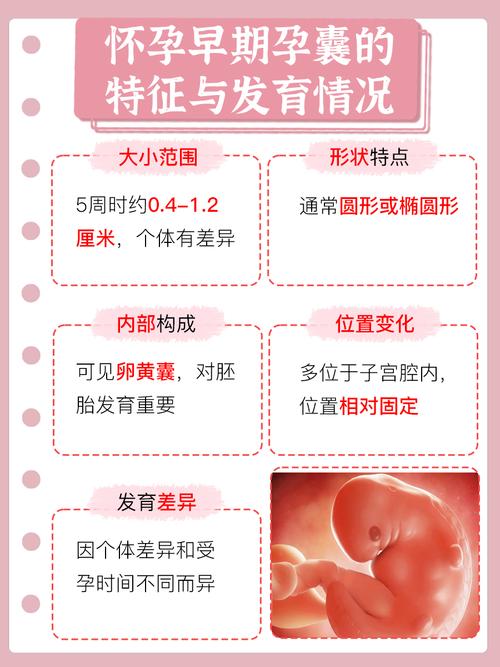 孕囊大小能精准推算受孕时间吗？还是存在误差？-第2张图片-郑州医学网