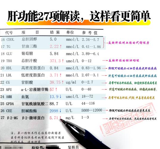 孕期肝功能检查到底有没有必要做？不做会有哪些风险？-第2张图片-郑州医学网