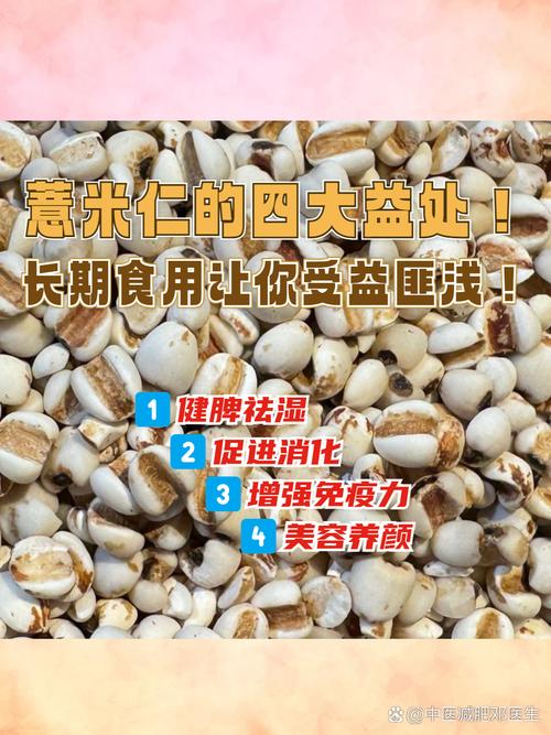 备孕期间吃薏仁会影响受孕吗？有没有科学依据？-第3张图片-郑州医学网