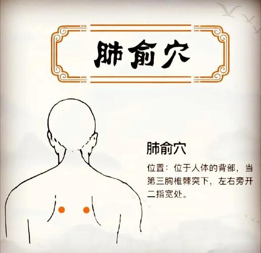 儿童肺俞穴的准确位置图片在哪里?如何快速找准并避免按错?-第3张图片-郑州医学网 儿童肺俞穴的准确位置图片在哪里?如何快速找准并避免按错?-第3张图片-郑州医学网