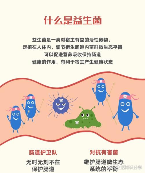 儿童便秘吃益生菌真的有用吗?效果和注意事项有哪些?-第1张图片-郑州医学网 儿童便秘吃益生菌真的有用吗?效果和注意事项有哪些?-第1张图片-郑州医学网