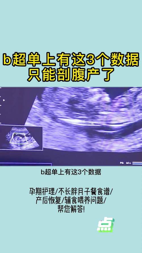 孕期50天B超显示蝌蚪状，是正常胚胎发育还是异常情况？-第2张图片-郑州医学网