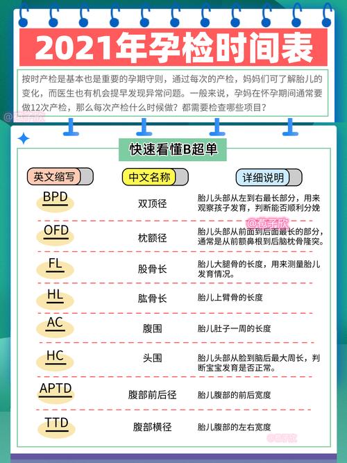 孕期50天B超显示蝌蚪状，是正常胚胎发育还是异常情况？-第3张图片-郑州医学网