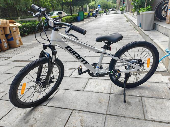 儿童自行车品牌怎么选？安全耐用又有趣的品牌有哪些？-第1张图片-郑州医学网