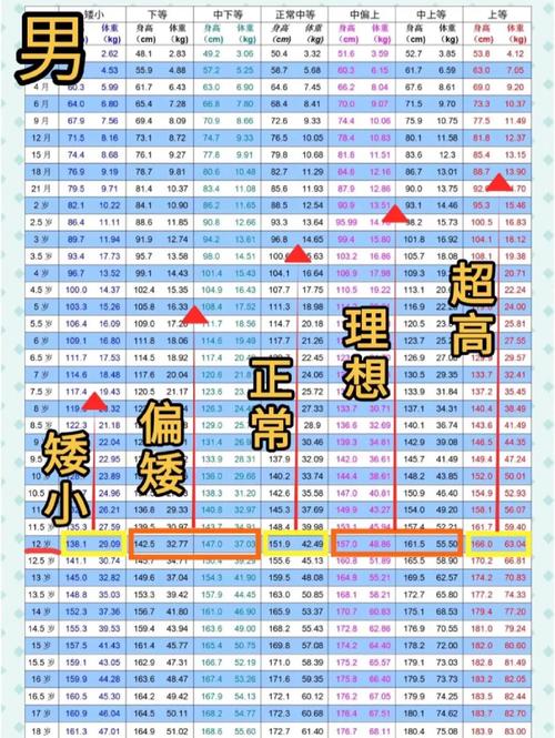 2岁儿童身高体重标准表，达标范围是多少？低于或高于标准怎么办？-第3张图片-郑州医学网