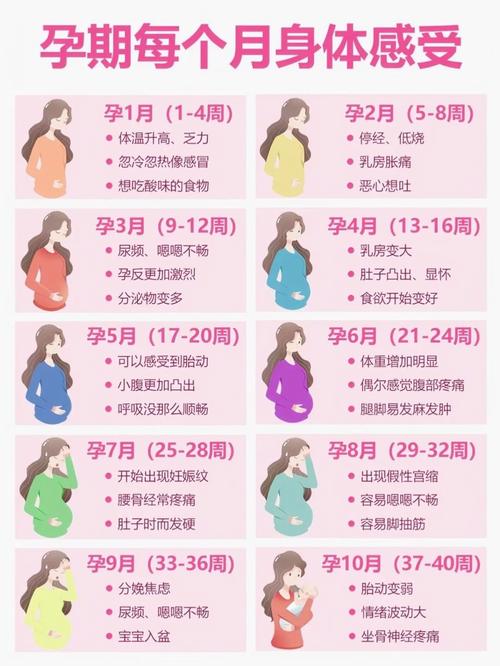 孕期肚子猛涨是哪个月？胎儿发育和孕妈变化哪个因素更关键？-第1张图片-郑州医学网