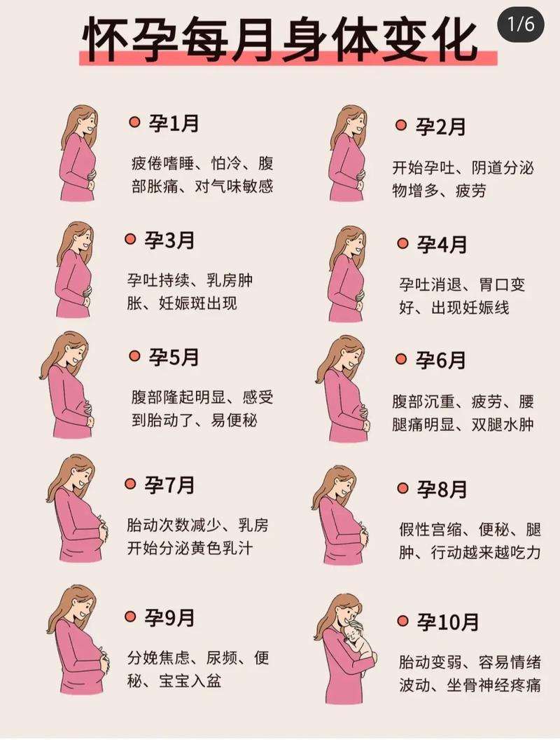 孕期肚子猛涨是哪个月？胎儿发育和孕妈变化哪个因素更关键？-第2张图片-郑州医学网