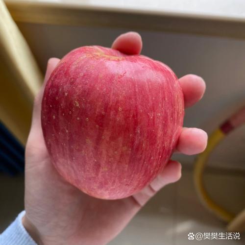 孕期一吃苹果就吐,是激素变化还是苹果刺激肠胃?-第2张图片-郑州医学网 孕期一吃苹果就吐,是激素变化还是苹果刺激肠胃?-第2张图片-郑州医学网