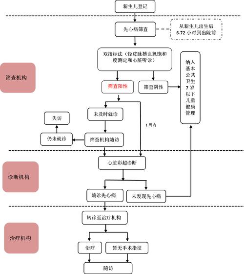 新生儿疾病筛查实施方案具体包含哪些关键筛查项目与执行流程?-第1张图片-郑州医学网 新生儿疾病筛查实施方案具体包含哪些关键筛查项目与执行流程?-第1张图片-郑州医学网