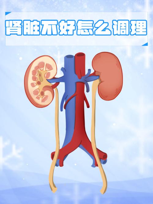 儿童肾功能异常有哪些容易被忽视的表现？家长该如何早期识别？-第2张图片-郑州医学网