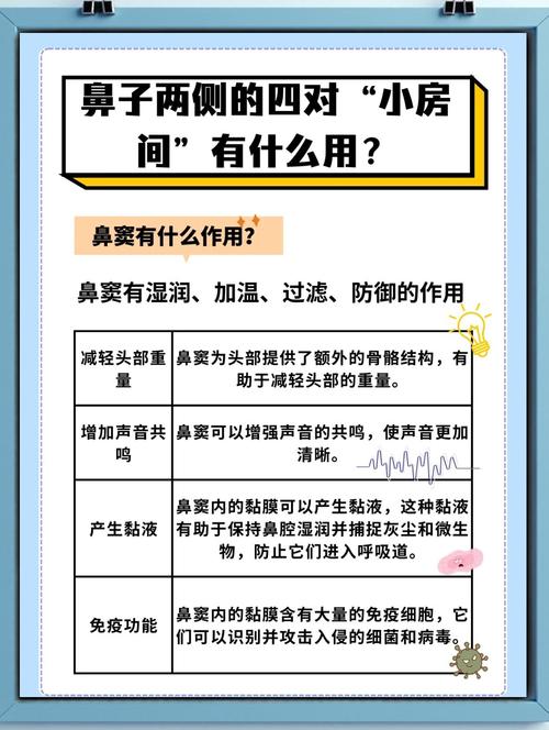 如何通过鼻子的多重作用开展儿童感官教育？-第1张图片-郑州医学网