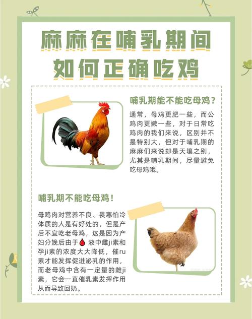 孕期吃鸡肉对胎儿发育有好处吗？需要注意哪些饮食禁忌？-第1张图片-郑州医学网